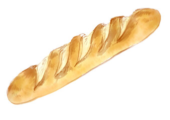 焼きたての美味しそうなフランスパンの手描き水彩イラスト