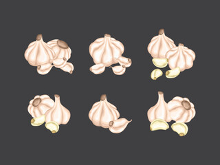 garlic cartoon aroma raw ingredient organic nature asian diet herb object seasoning plant background