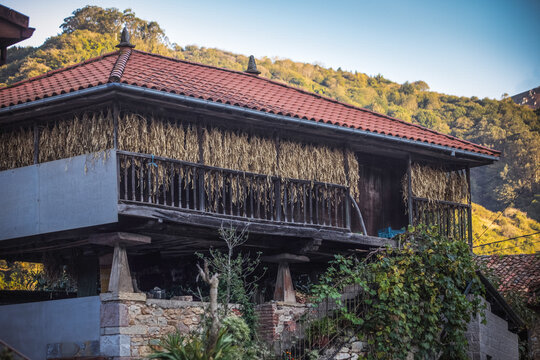 Traditional rural construction called horreo in Asturias with drying beans on the balcony. Spain