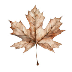 Rustic Watercolor Brown Maple Leaf: Autumn Fall Foliage Clipart

