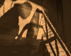 Shadow picture formed with light & shading on wood background has dimensional look showing a person leaning forward as if persuing an acitivity such as painting or business with a monitor.