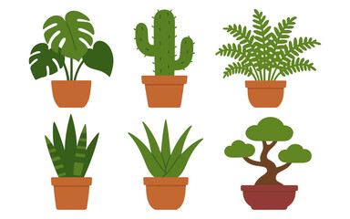 Fototapeta premium Flat style potted plants collection: monstera, cactus, fern, and more