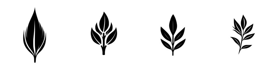 Obraz premium Various leaf silhouettes showcasing different shapes and textures in black on a white background