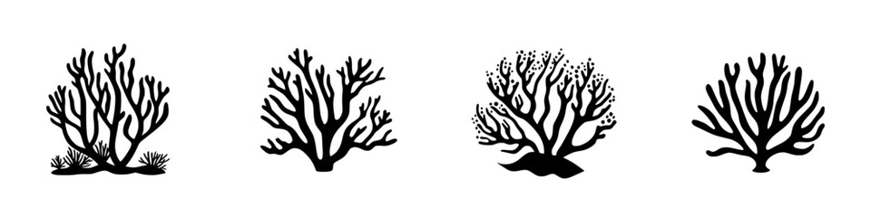 Fototapeta premium Coral illustrations showing diverse types of marine life in black and white design for educational and artistic purposes