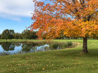 Obraz premium Golf Course in the Fall with Autumn Colored Leaves