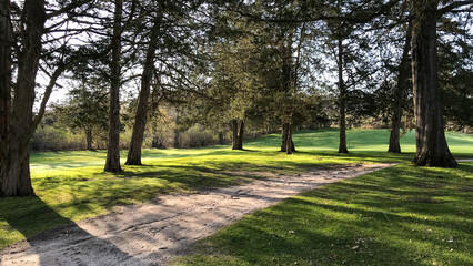 Golf Course in the Morning Sun