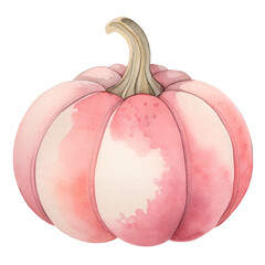 Watercolor pastel pink pumpkin illustration