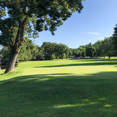 Golf Course in the Morning Sun