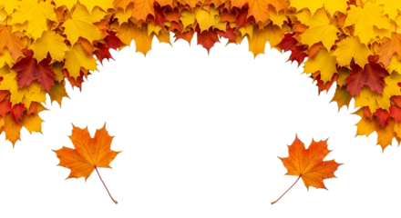 Autumn Maple Leaves Border on Black Background fall