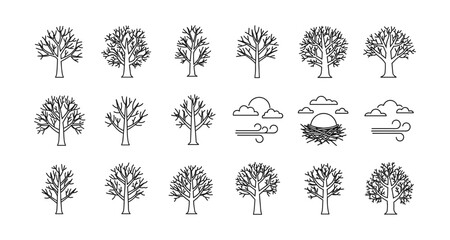 Collection of linear tree designs with seasonal elements for nature concepts