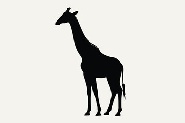 Fototapeta premium Silhouette of a giraffe standing against a light background