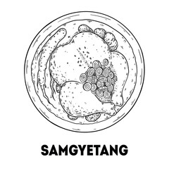 Samgyetang chicken soup sketch. Korean food. Hand drawn vector illustration. Top view.