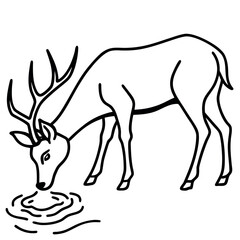 Deer Drinking From River Line Art Vector