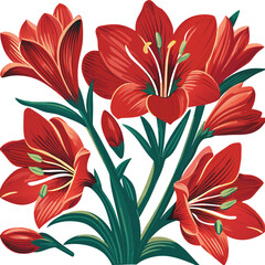 Vibrant cluster of red amaryllis flowers with green foliage on a white background