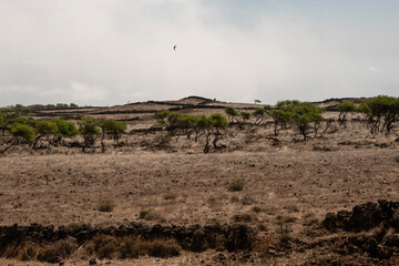 Paisaje rural en las alturas en la isla de El Hierro