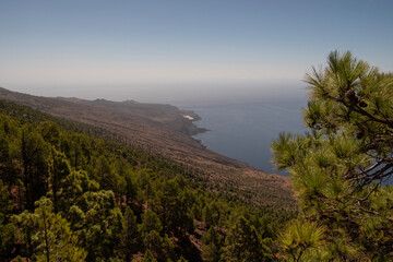 El pinar de Isora y el mar al fondo, El Hierro