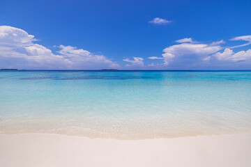 Sunny beach closeup sea sand sky tropical landscape exotic summer island shore relax tranquil calm inspire beautiful beaches vibrant nature background travel vacation destination. Best top wall art