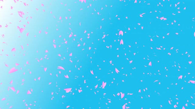 Bunch of pink cherry petals falling down from top to bottom on light blue gradient background while the camera moving backward. Abstract background with a scene of Spring time in Japan.