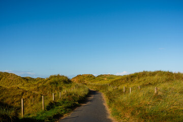 Fototapeta premium Path through Coastal Sand Dunes under Clear Blue Sky, Wales