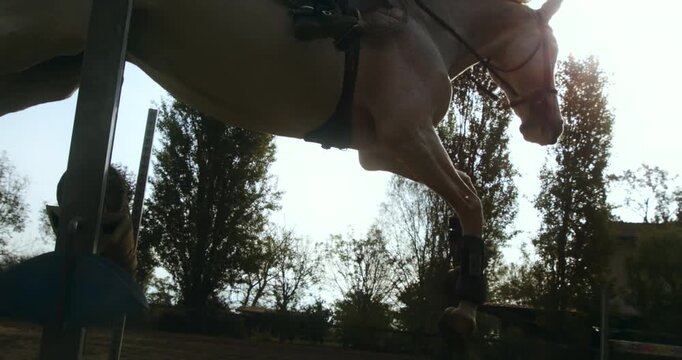 Slow Motion Horse Landing After Jump with Dust Rising, Muscles Tense, and Power of Motion Captured in Equestrian Arena at 1000 fps