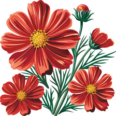 Vibrant red cosmos flowers with delicate green foliage and buds