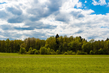 Green field under a blue sky with fluffy clouds. Lush forest line adds depth to this peaceful,...