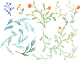 Set of elegant stylized medieval plants. Hand-painted watercolor floral elements
