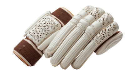 Cricket Batting Gloves on white background