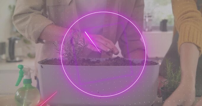 Gardeners inserting hands into planter planting rosemary with animation guide and inspecting herb