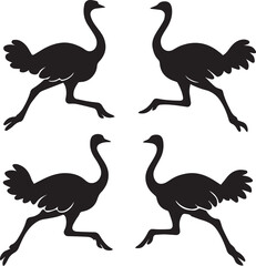 Set of Ostrich Silhouettes Vector on White Background | Black Flightless Bird Illustrations