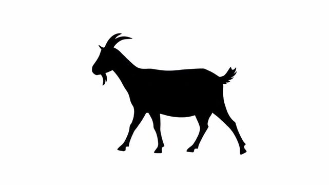 Goat silhouette isolated on white background. 4k animation video.