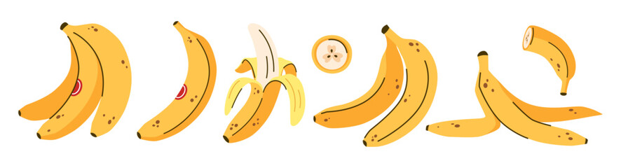 Set with bananas, bunch, whole and cut fruits and slices. Tropical fruit.