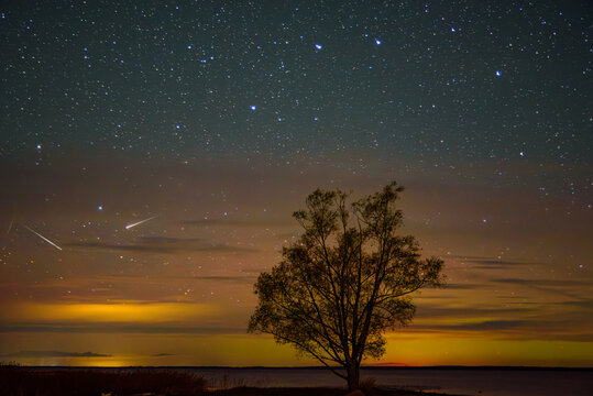 A lone tree silhouetted against a colorful twilight sky filled with stars and meteor streaks above a calm lake horizon.
