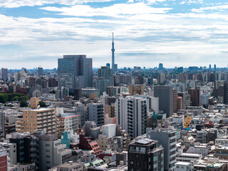 Tokyo cityscape with Tokyo Skytree amid dense mid rise blocks
