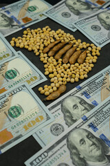 Map of Brazil Made of Soybeans and Soybean Pods. American Dollars. Brazilian Global Trade in Soybeans and Soybean Meal.