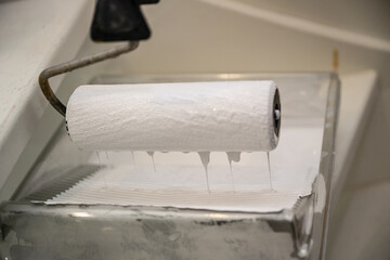 Paint Roller Loaded with White Paint in Tray