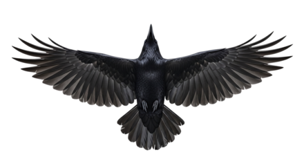 A black raven in flight, wings spread wide, viewed from directly above, isolated on a transparent background