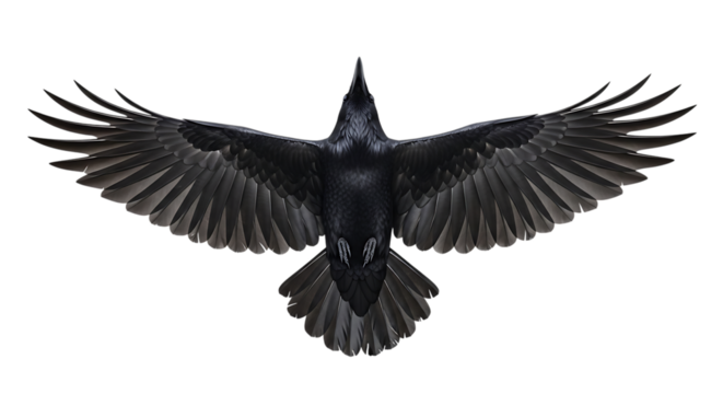 A black raven in flight, wings spread wide, viewed from directly above, isolated on a transparent background