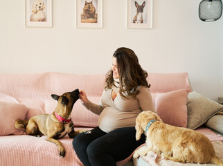 Pregnant woman bonding with pet dogs at home