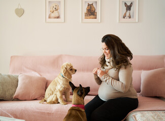 Pregnant woman spending time with her pet dogs at home