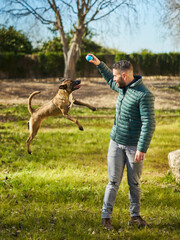 Man playing ball with dog in park