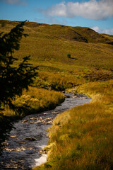 Mountain Stream Flowing Through Grassy Valley in Snowdonia, Wales