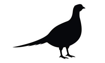 Pheasant silhouette, Pheasant black vector illustration