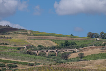 Fototapeta premium View on hills with vineyards and olive groves from Palermo-Trapani highway, Sicily, vacation destination in Italy
