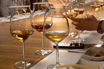 Visit of wine cellar with old large oak barrels, tasting of fortified dry or sweet tasty marsala wine in Marsala, Sicily, Italy