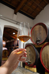 Visit of wine cellar with old large oak barrels, glass of fortified dry or sweet tasty marsala wine from barrels in Marsala, Sicily, Italy