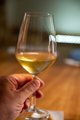 Visit of wine cellar with old large oak barrels, tasting of fortified dry or sweet tasty marsala wine in Marsala, Sicily, Italy