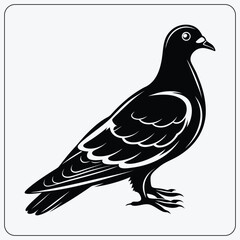 Stylized pigeon illustration. Black and white dove graphic. Vector symbol of peace, love, or a city bird.