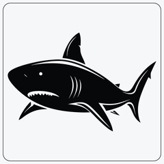 Aggressive shark illustration. Stylized great white predator with sharp teeth. Vector graphic for an ocean danger symbol or a sports mascot.
