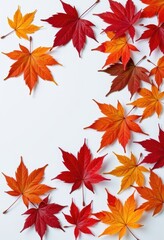 Obraz premium Autumn maple leaves, crisp and vibrantly colored, artfully arranged on a clean white backdrop, perfect for seasonal design elements, studio, foliage, nature